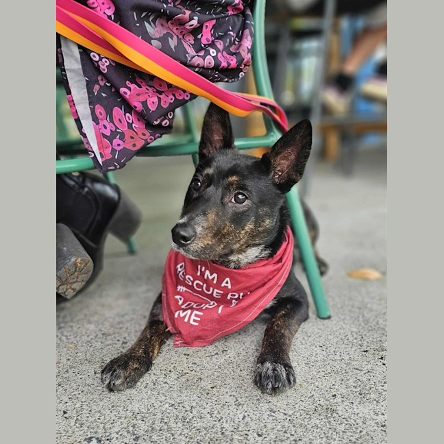 Photo of Matilda