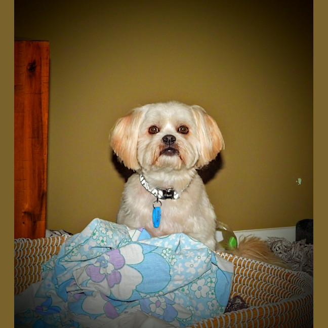 Photo of Lando