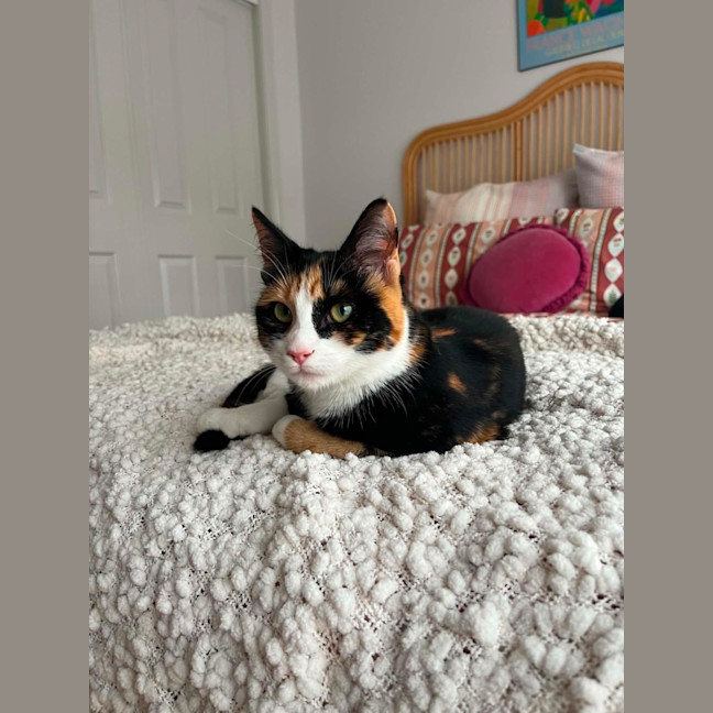 Photo of Katie