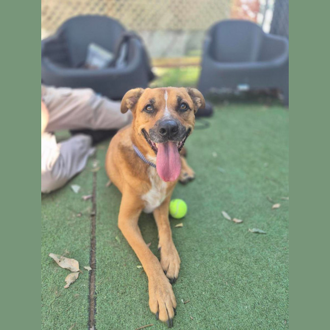 Photo of Murphy