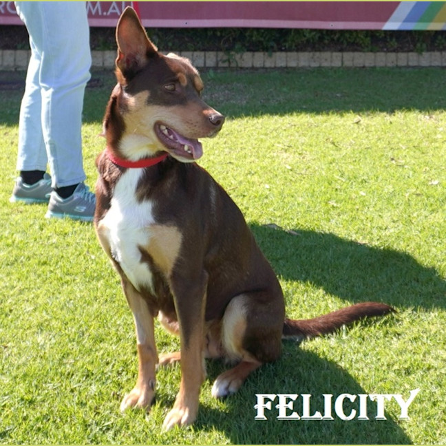 Photo of Felicity