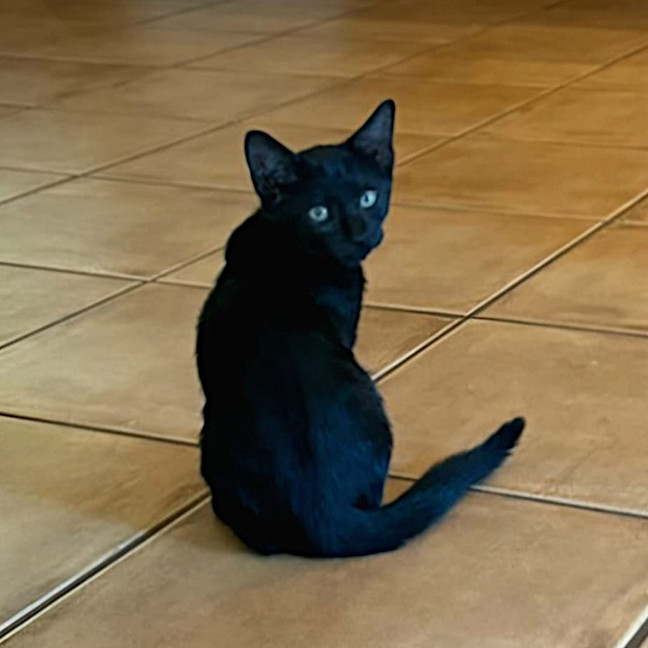 Photo of Elphaba