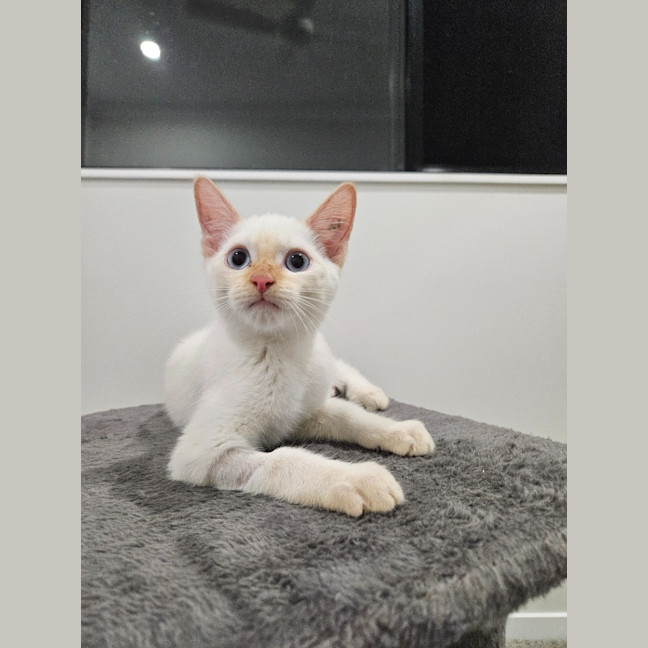 Photo of Nimbus