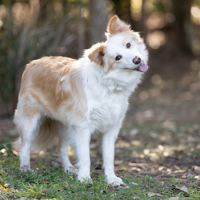 Photo of Harper
