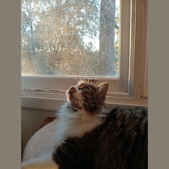 Photo of Ms. Ida Mae