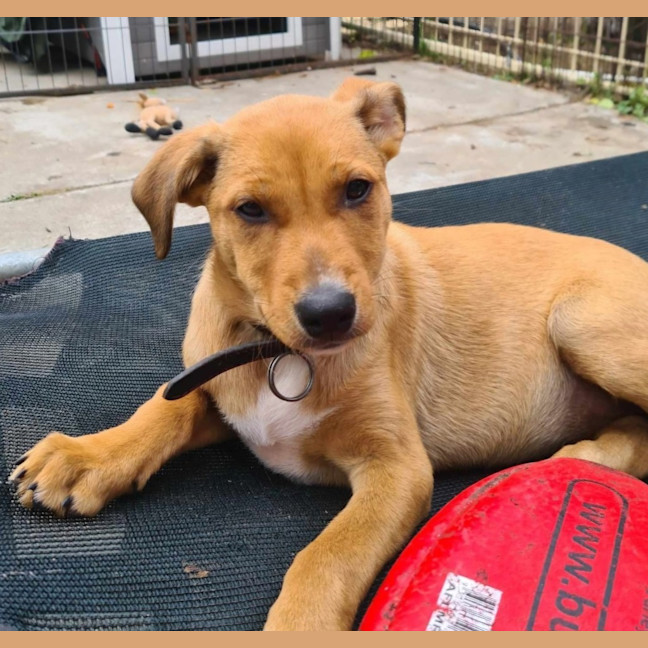 Photo of Lady Mcbeth