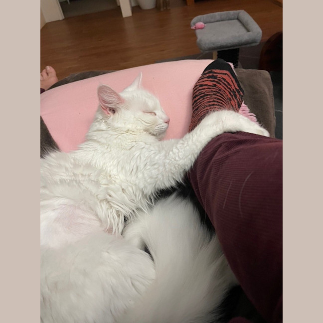 Photo of Elsa
