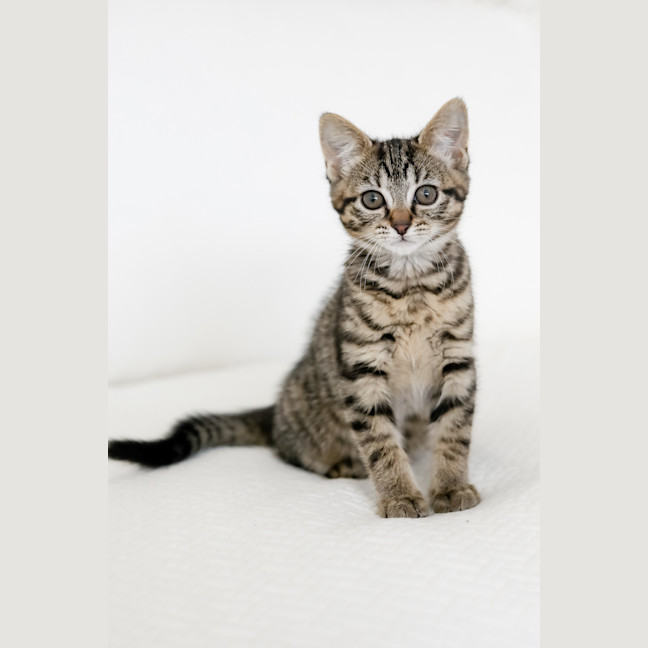 Photo of Milly