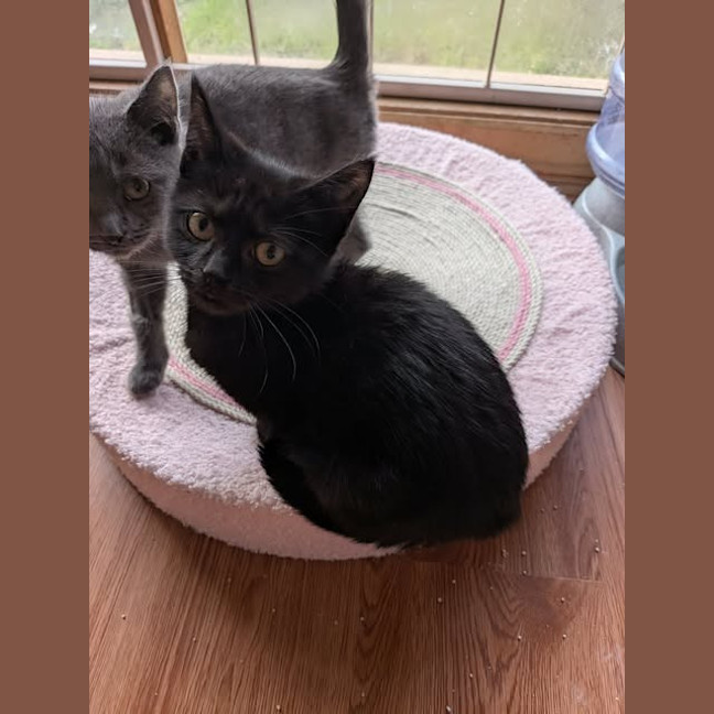 Photo of Lilith