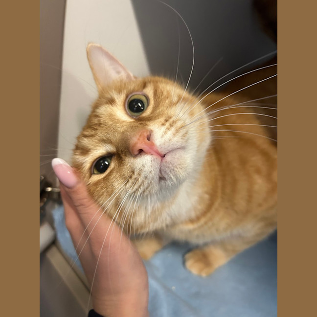 Photo of Timothy