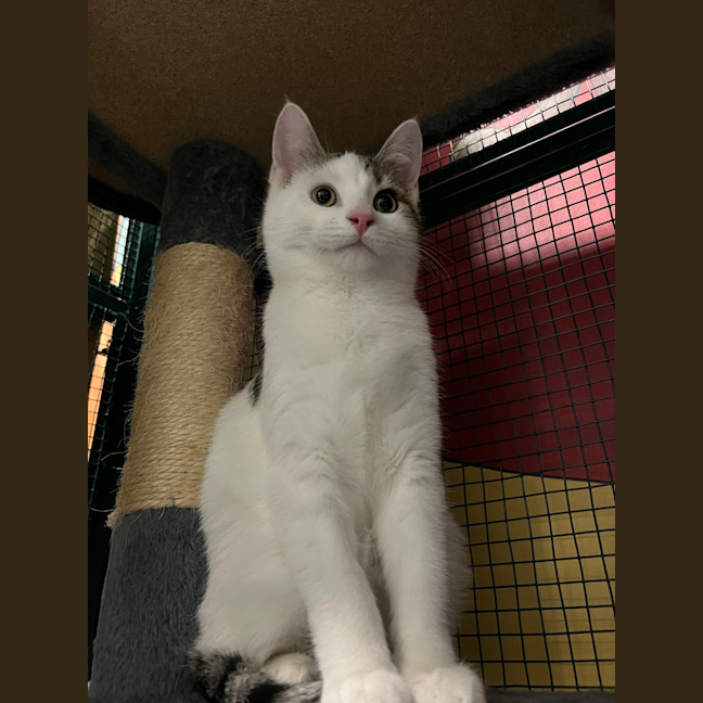 Photo of Murphy