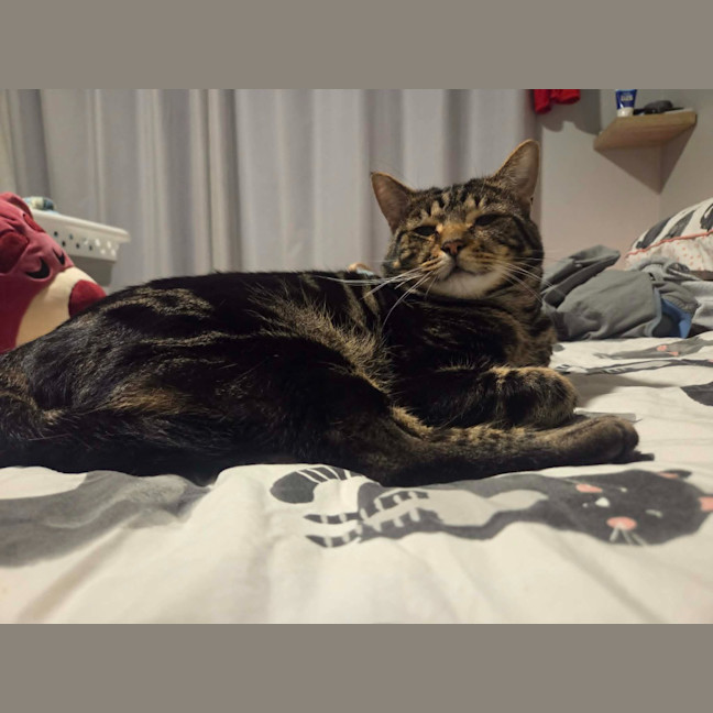 Photo of Buddy