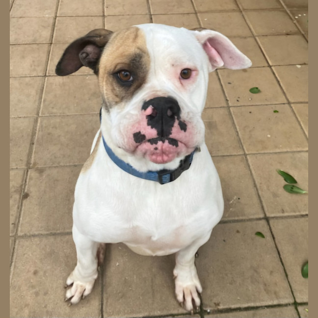 Photo of Annie