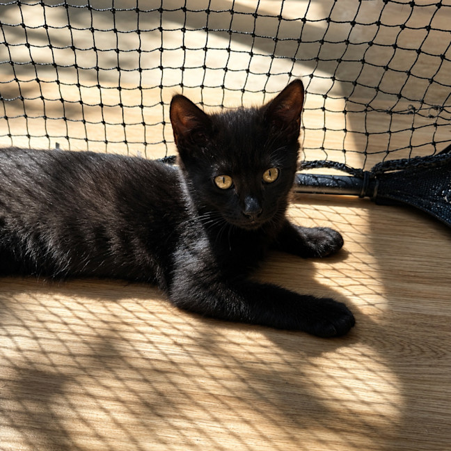 Photo of Paddi