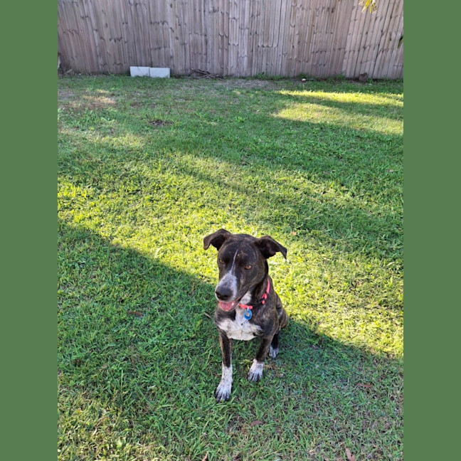 Photo of Coco