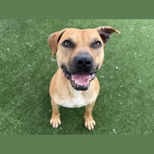 Photo of Zuko Imp 11