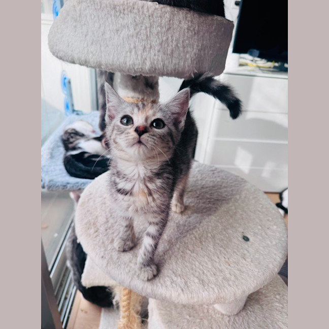Photo of Sparkles ✨