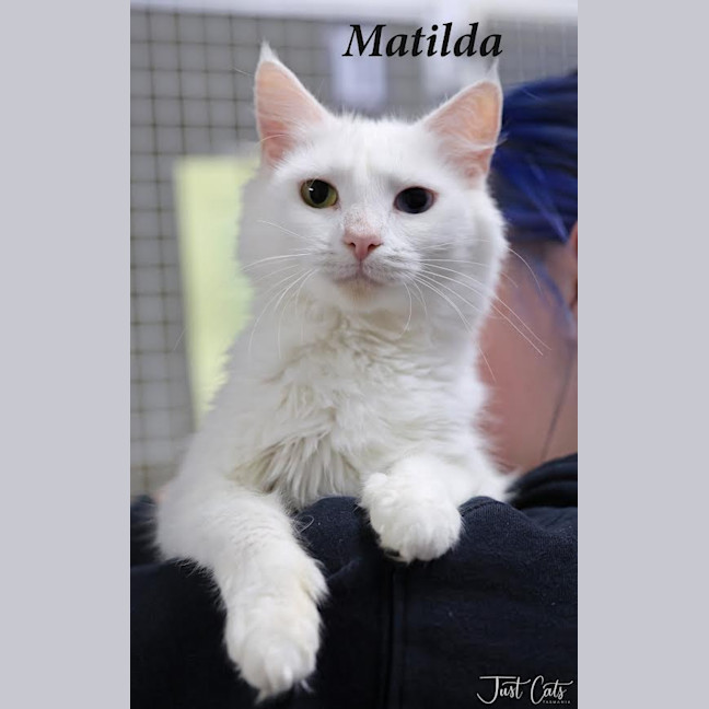 Photo of Matilda