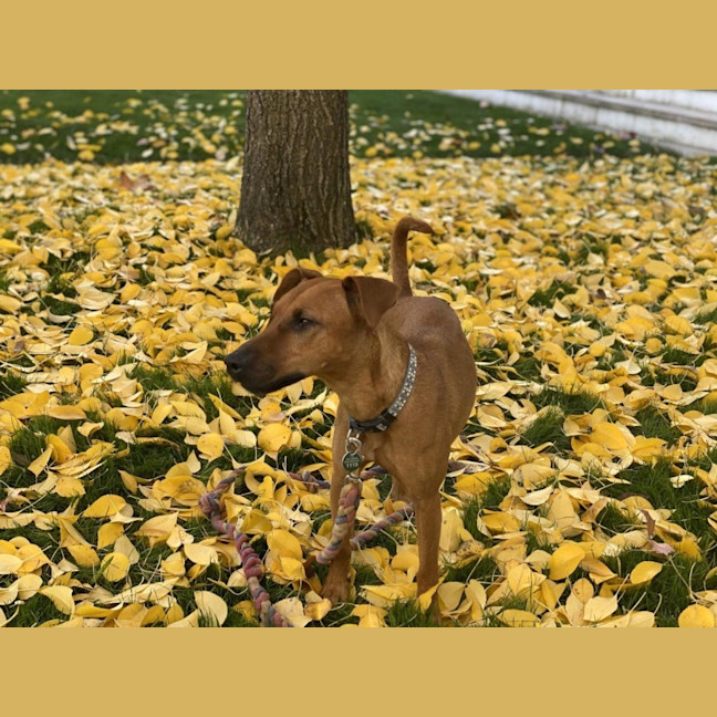 Photo of Missy Peggotty