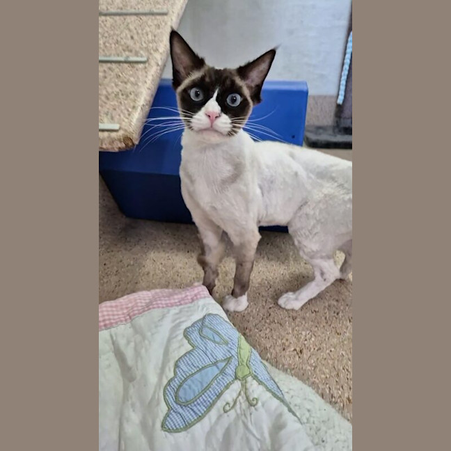 Photo of C Montgomery Burns