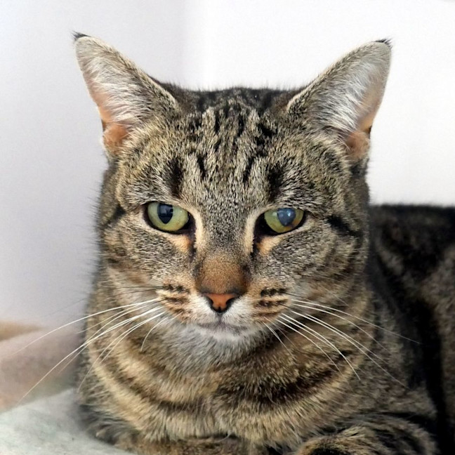 Photo of Eden Sta012533