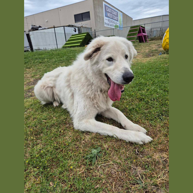 Photo of Lucy