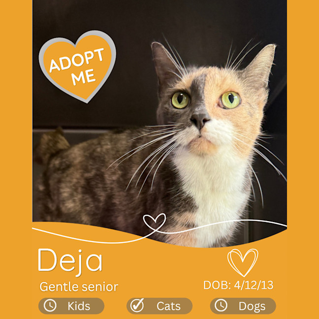 Photo of Deja 