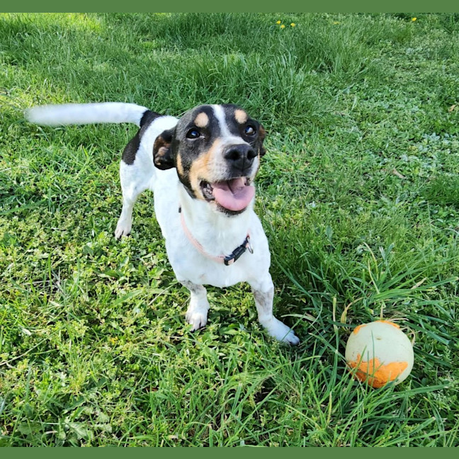 Photo of Tilly