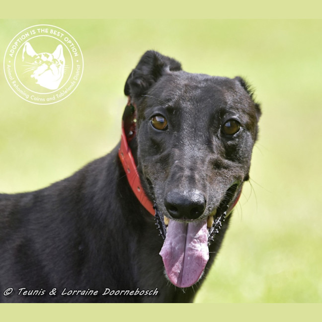 Photo of Billy (Canya Revamp)