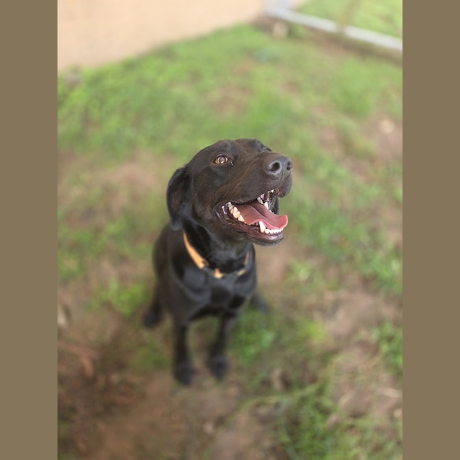 Photo of Luna