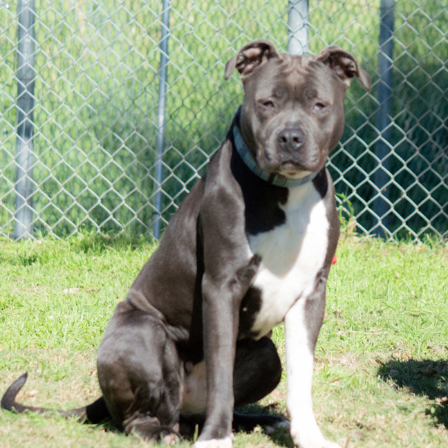 Photo of Nautica