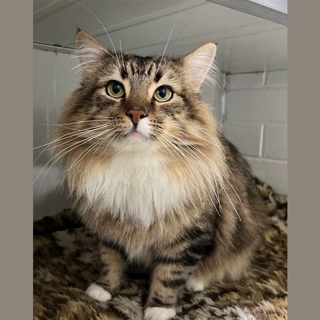 Photo of Tucker