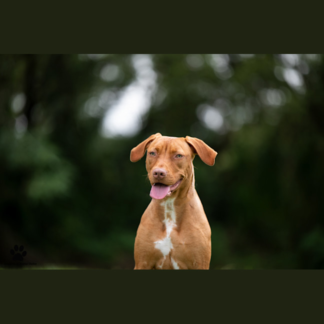 Photo of Sally