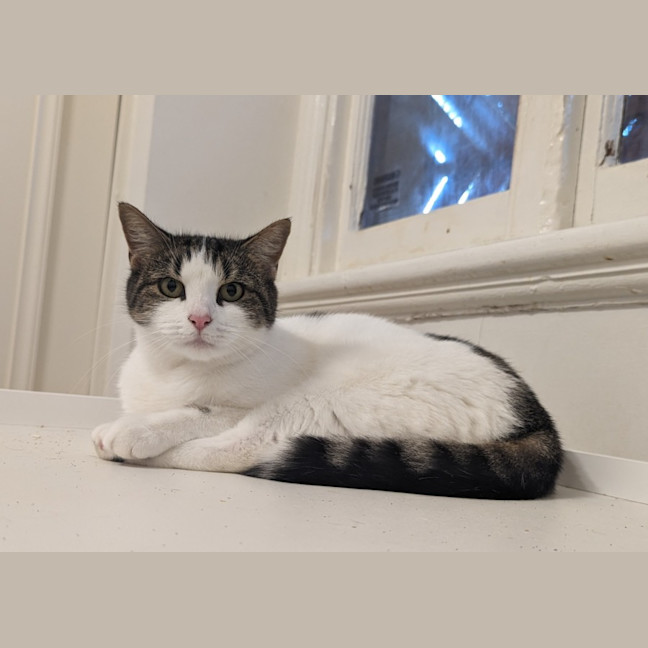 Photo of Mazzy
