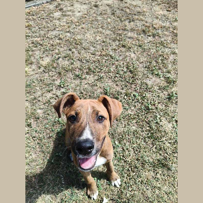 Photo of Shaggy