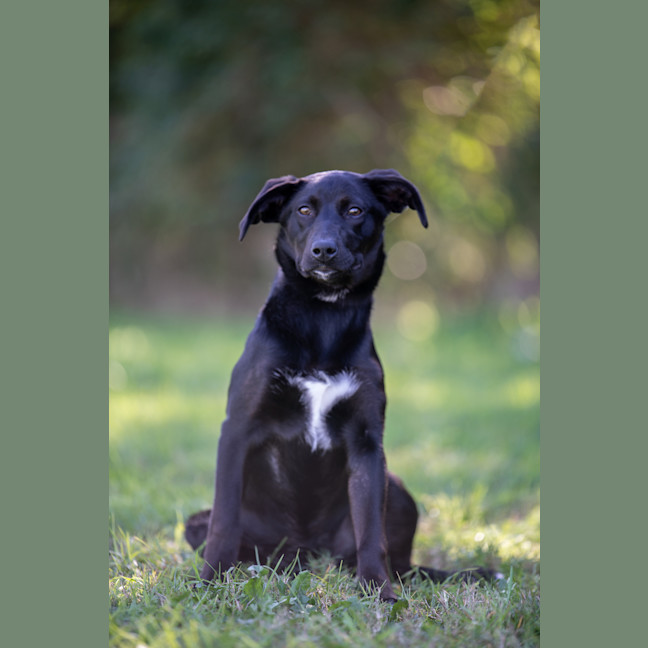 Photo of Milly