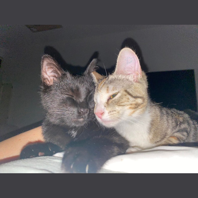 Photo of Tinkerbell & Bon Bon 