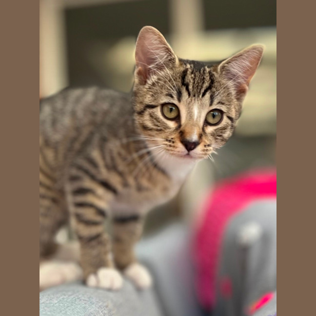 Photo of ❤️ Marlee ❤️