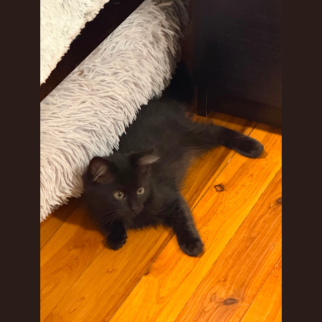 Photo of Minnie & Mickey