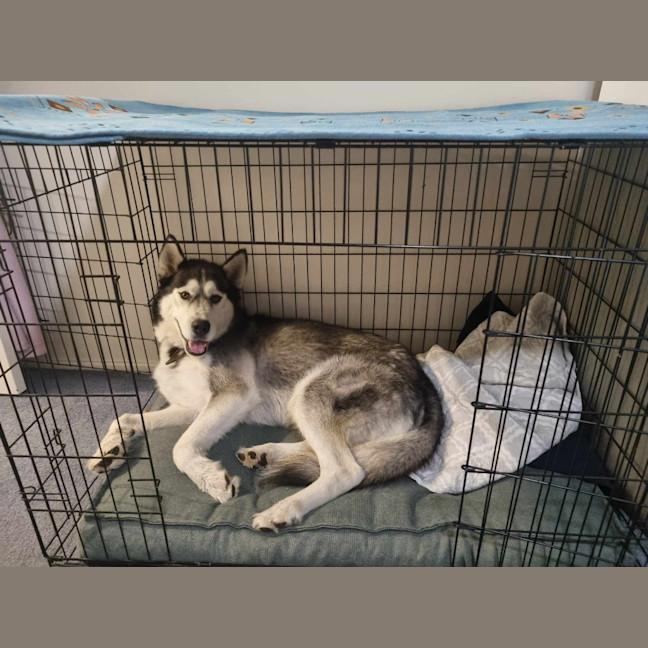 Photo of Chief