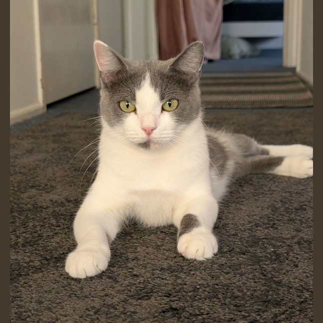 Photo of Sugar