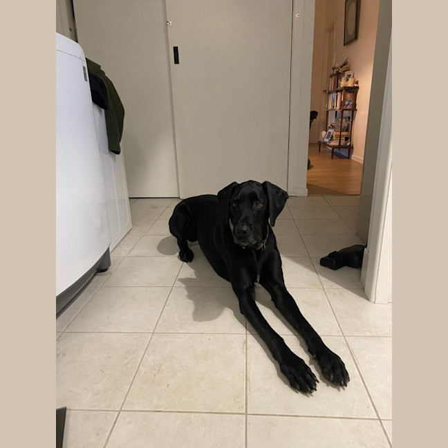 Photo of Jett