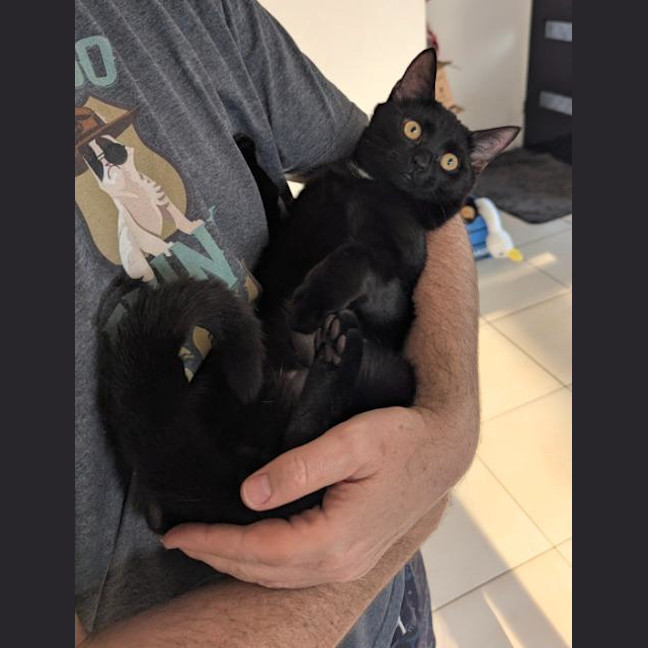 Photo of Truffle