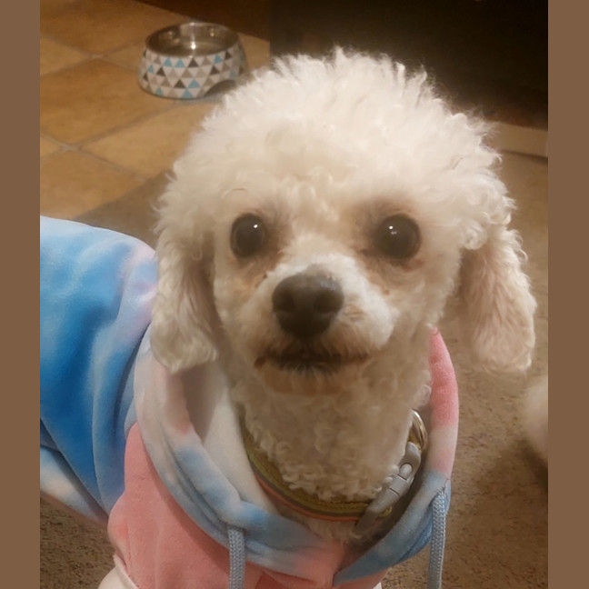 Photo of Tess