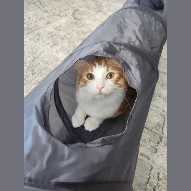 Photo of Jasper