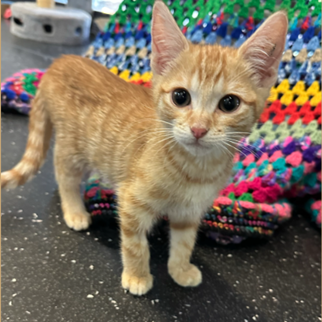 Photo of Traveller Steve