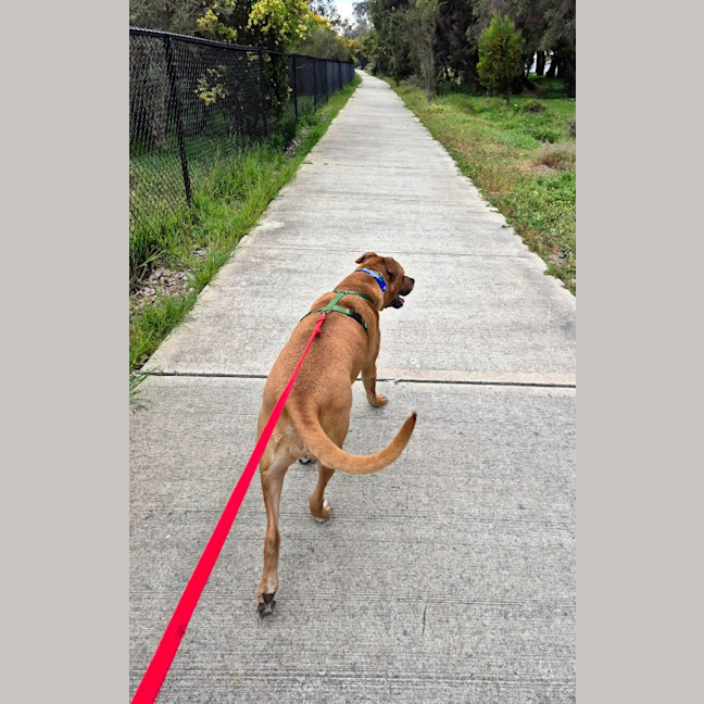 Photo of Lucy