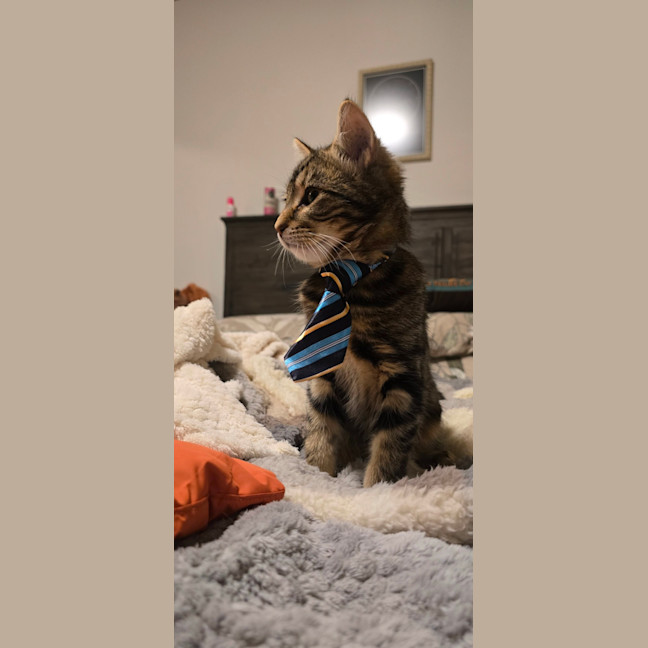 Photo of Gus