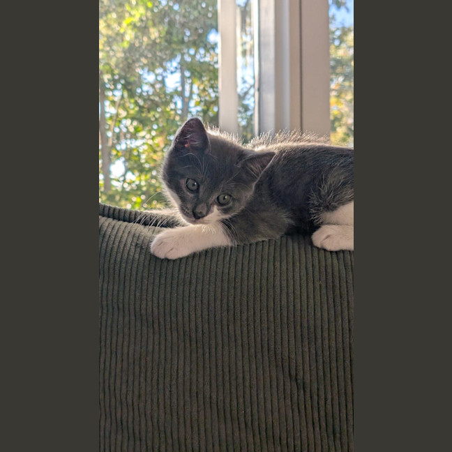 Photo of Gigi