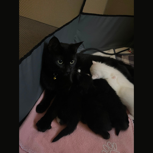 Photo of Buffy